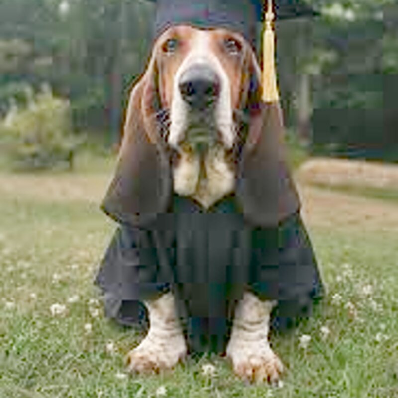 Shop mascot at Doris's Barber Shop